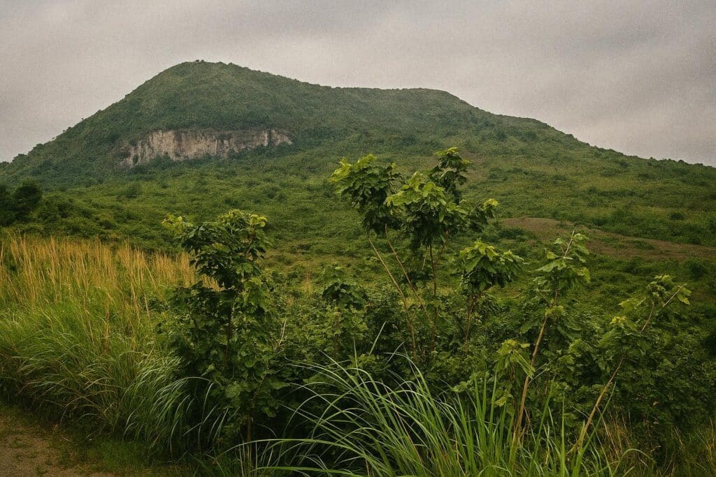 Deux rives, un même fleuve : paradoxes géopolitiques et essor discret du Congo